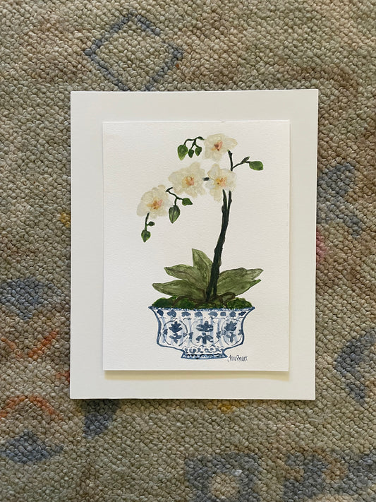 Orchid in Blue & White Bowl