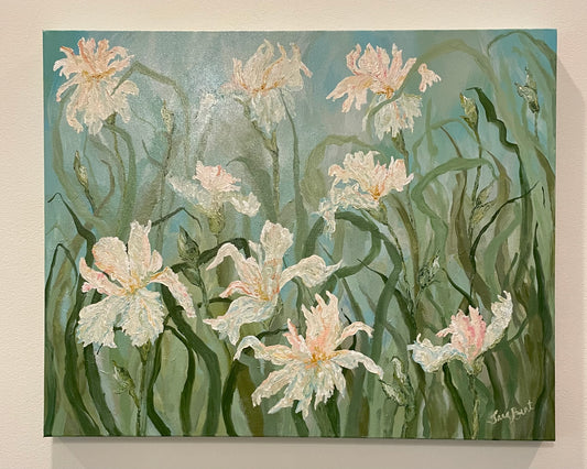 Iris Waltz