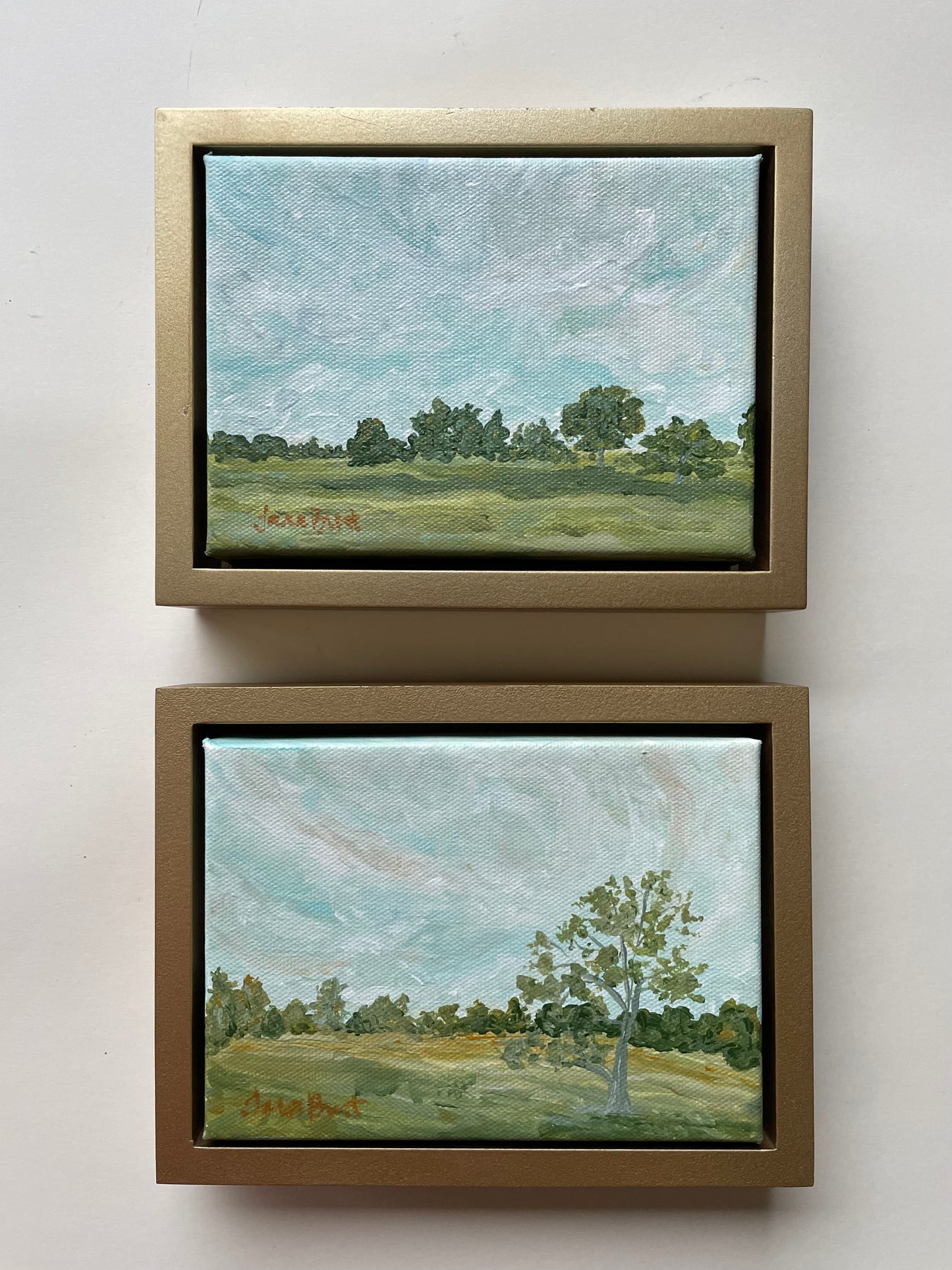 Notes From The Meadow