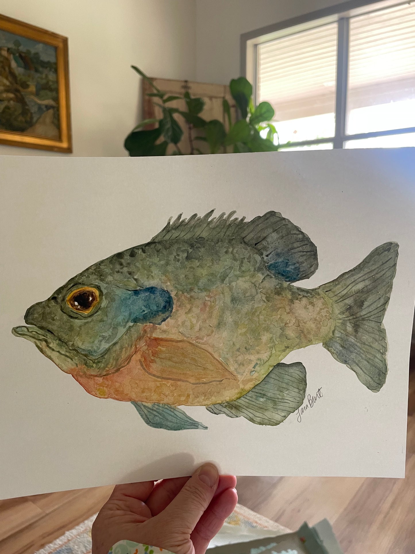 Bluegill Bream Fish watercolor