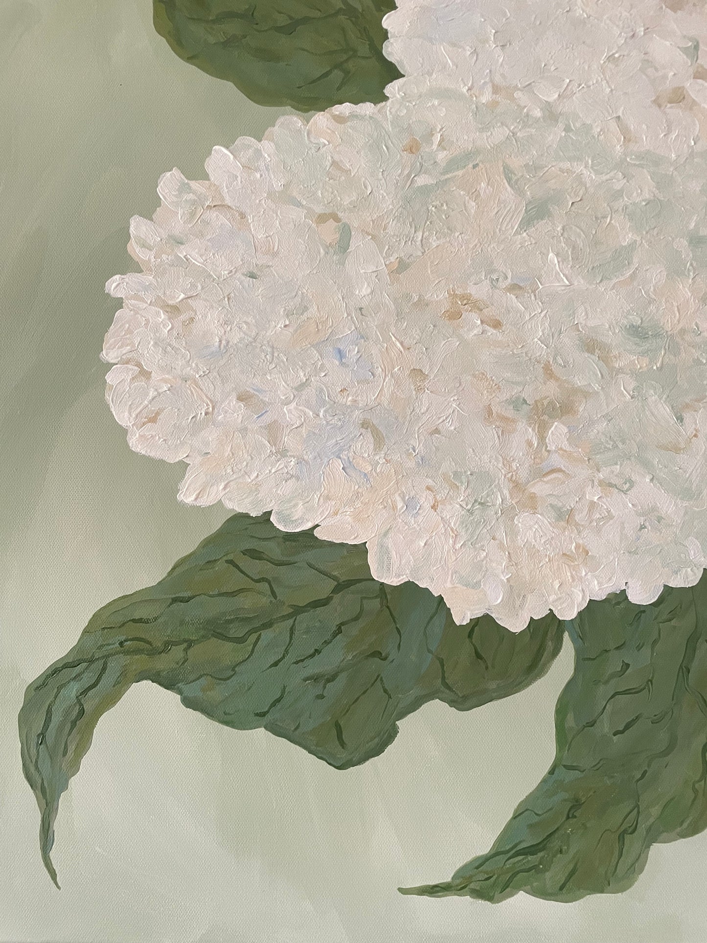 Summer in Bloom