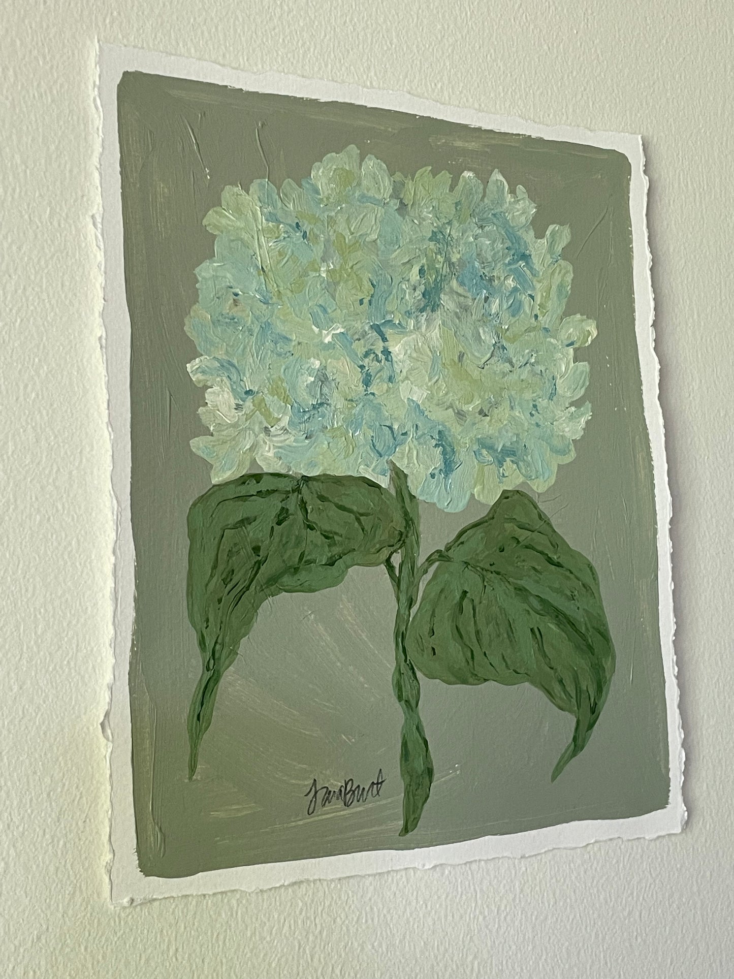 8x10 Green & Blue Hydrangea on Sage paper no. 4