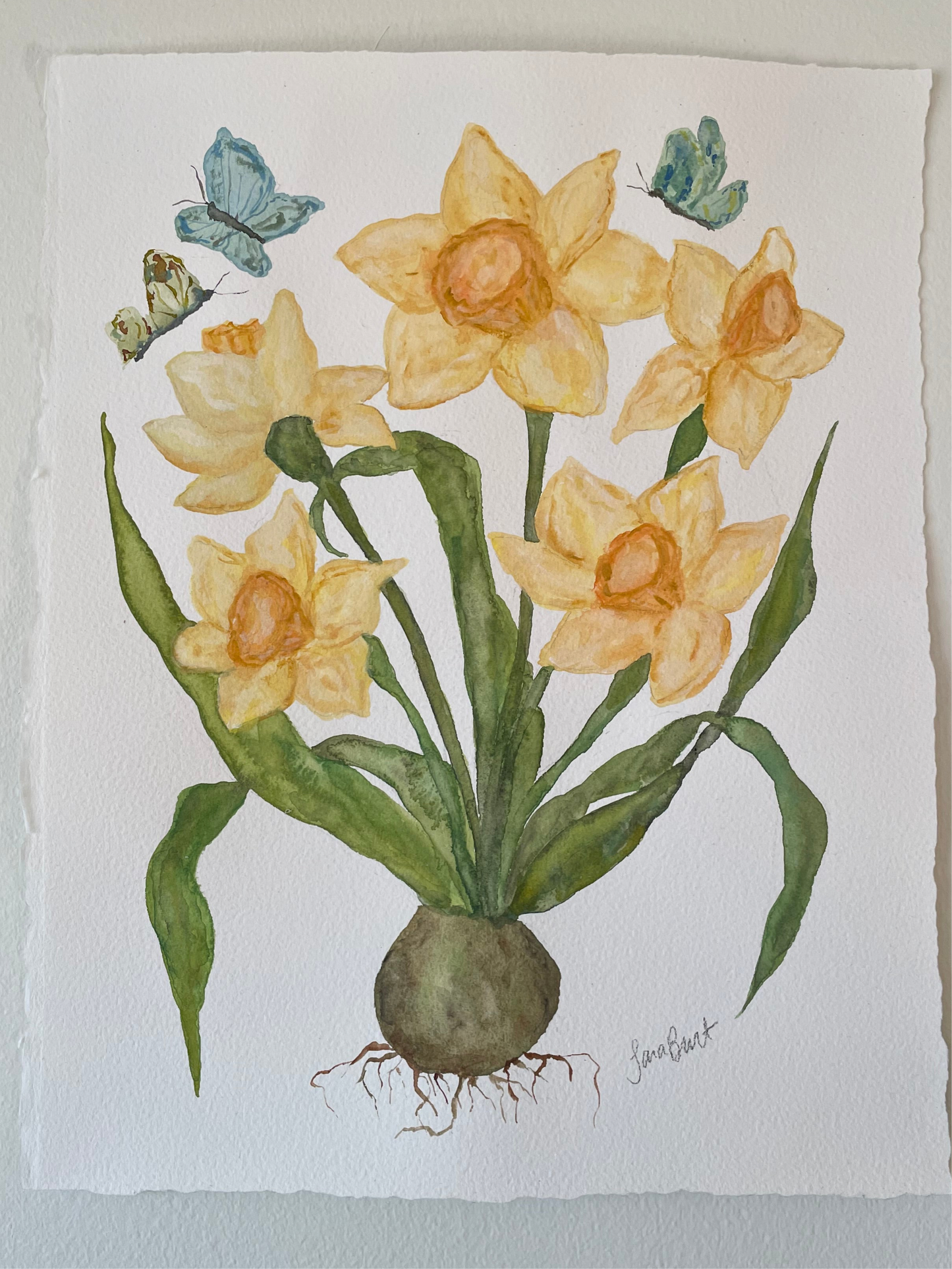 Yellow Daffodil Botanical Watercolor Painting