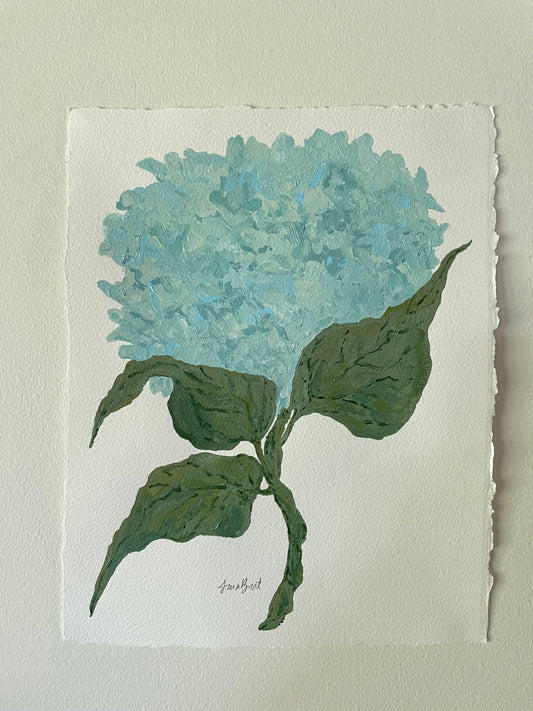 11x14 Blue Hydrangea on plain paper no. 2
