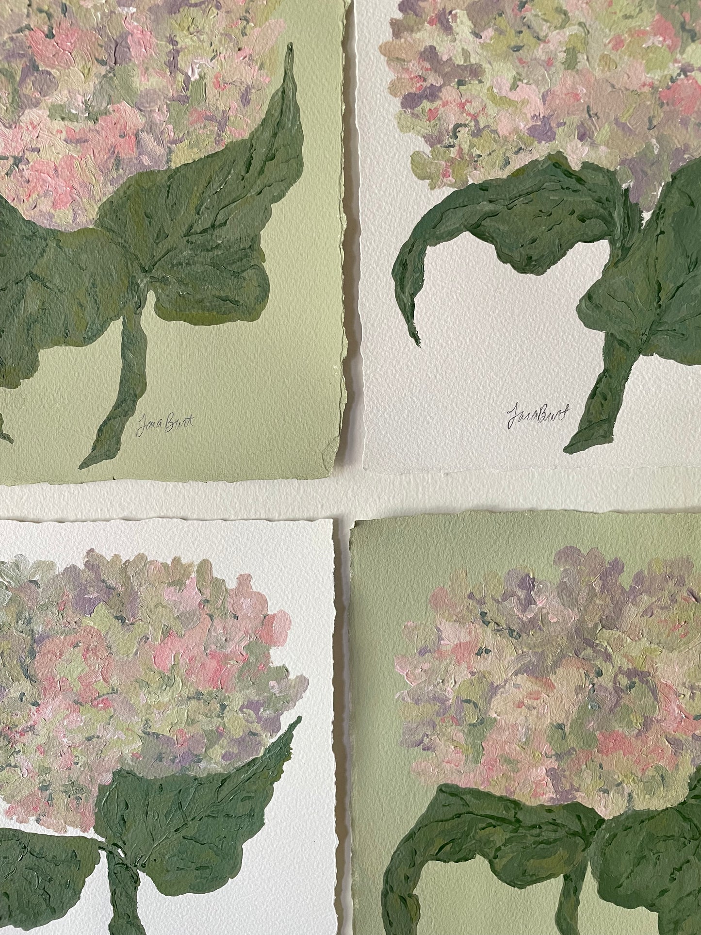 8x10 pink & purple hydrangea on plain paper no. 2
