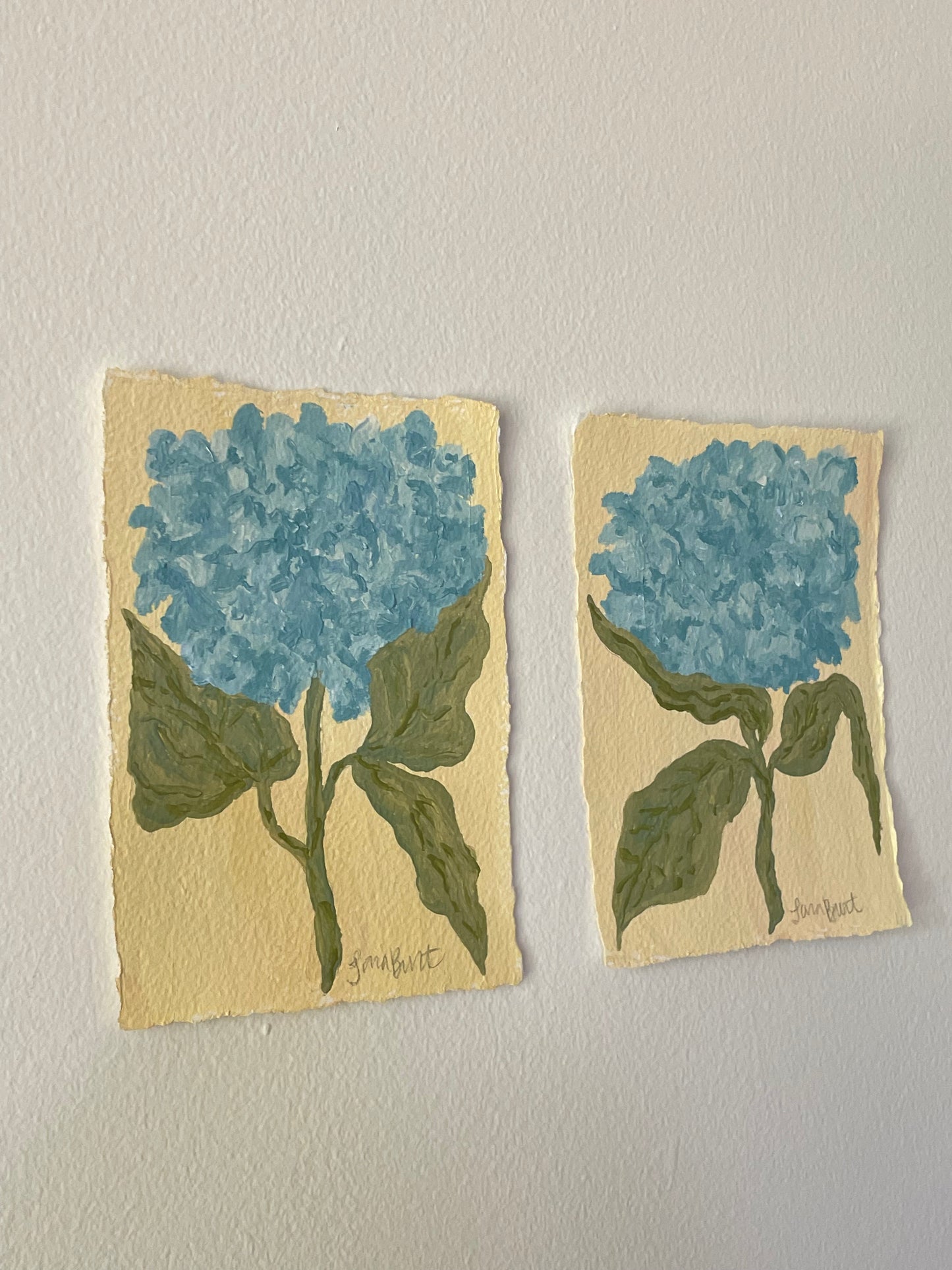 5x7 Blue Hydrangea on Butter Paper no. 1