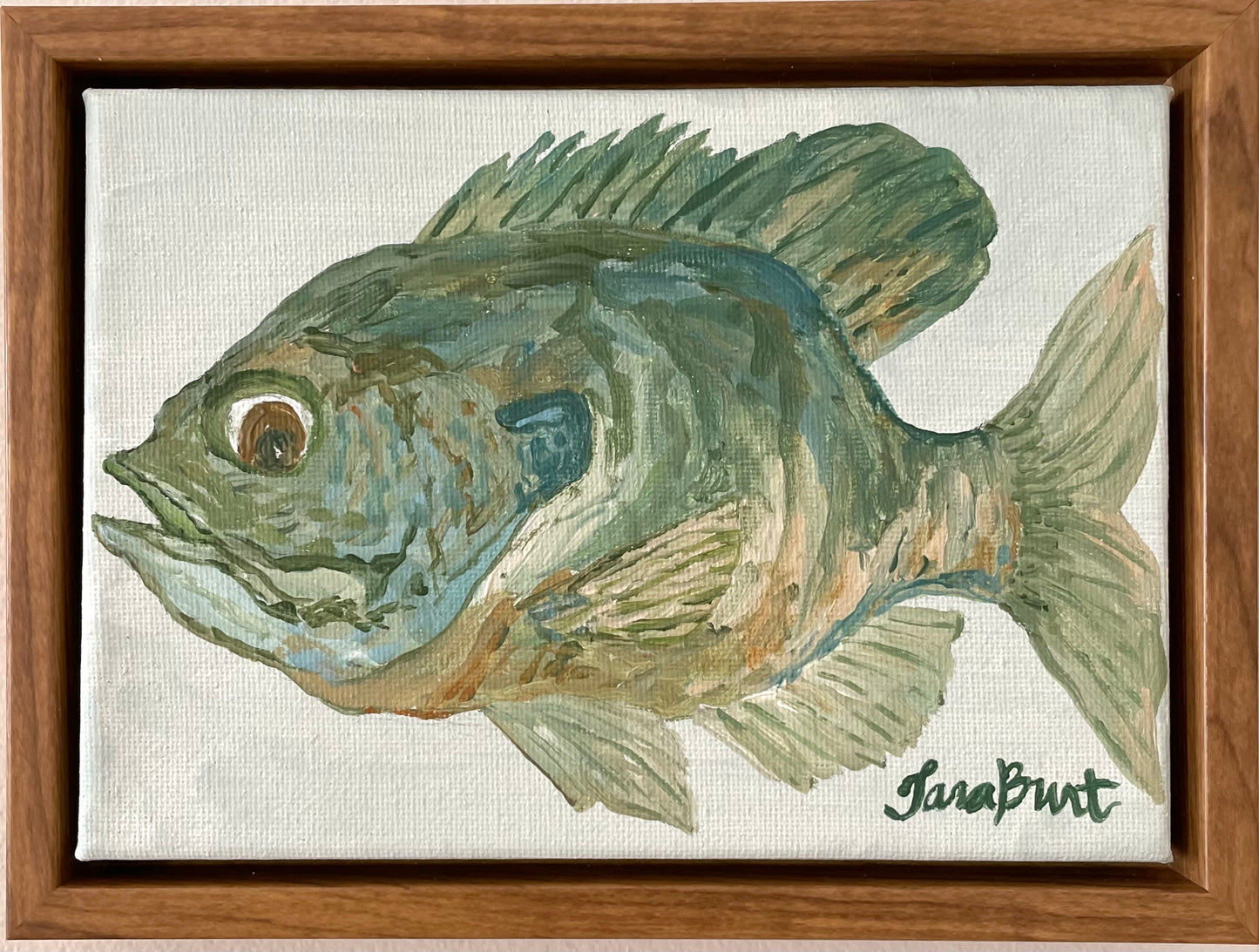 Blue Gill Brim on canvas