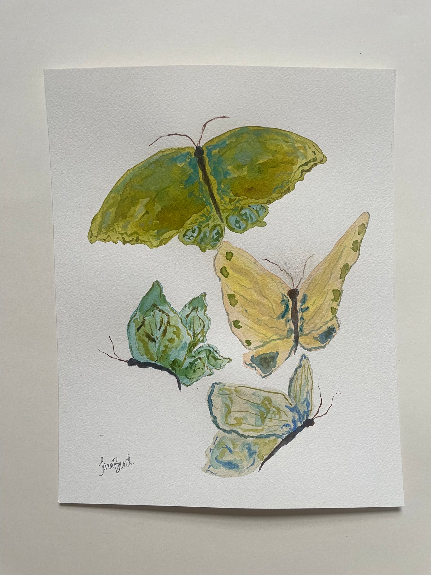 Family of 4 Papillon