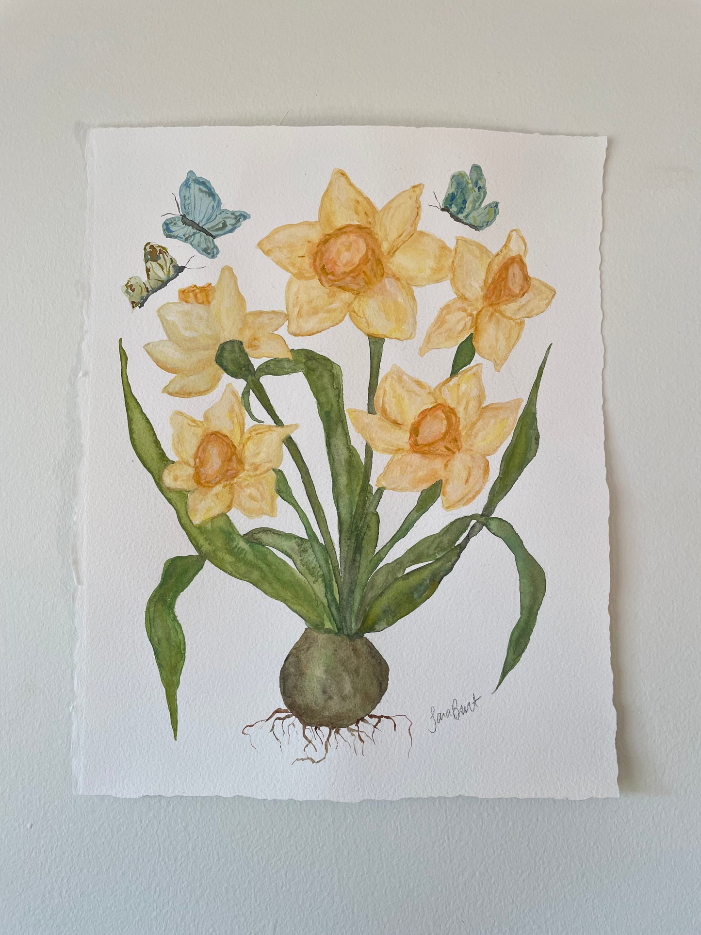 Yellow Daffodil Botanical Watercolor Painting
