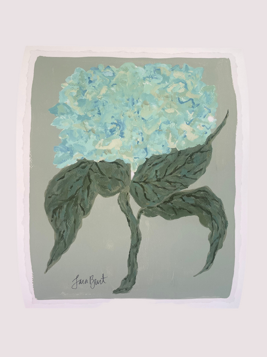 Blue Green Hydrangea on Sage