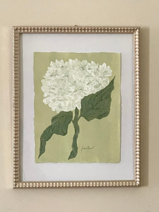 8x10 White Hydrangea on green paper no. 1
