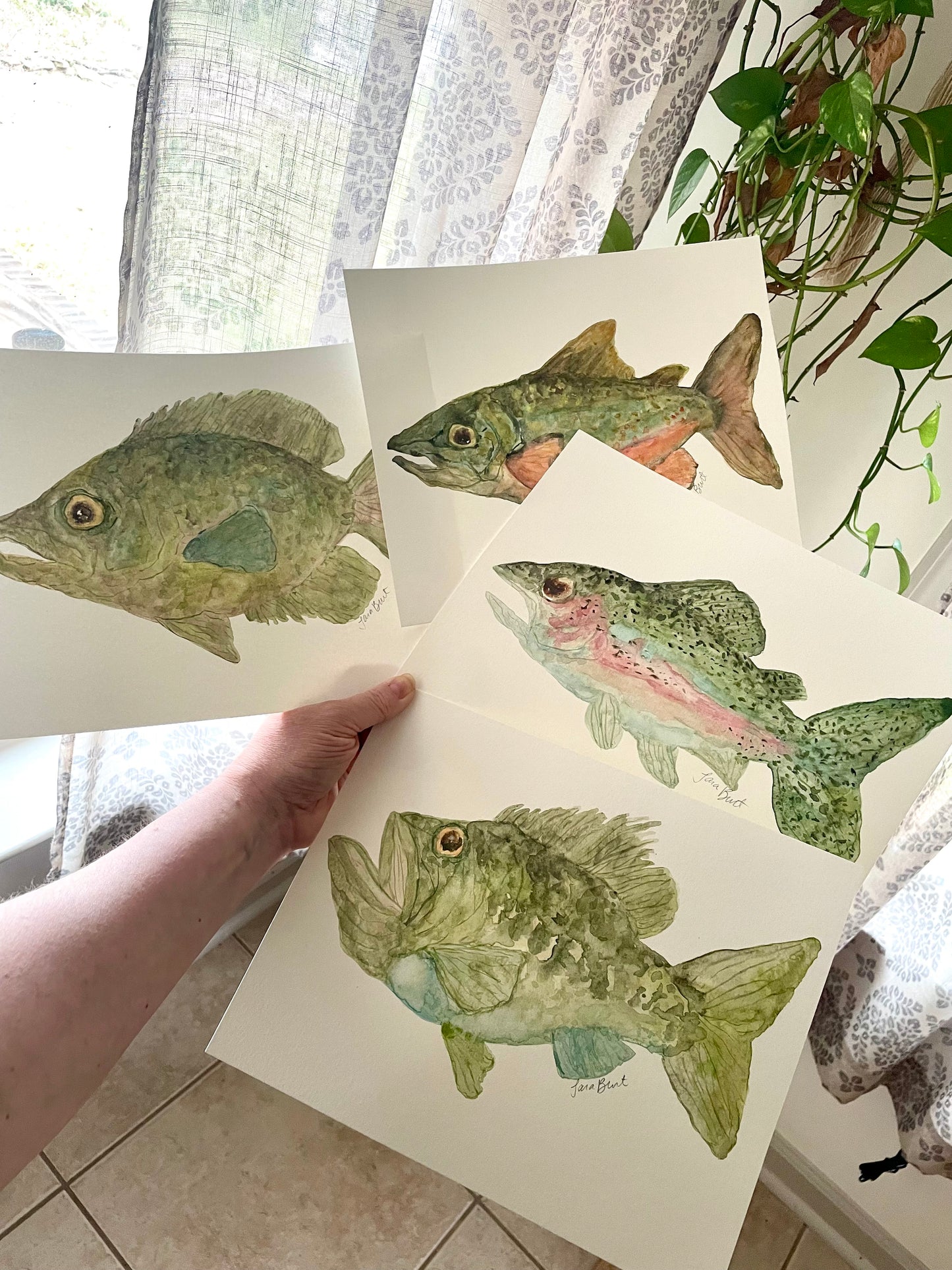 Brook Trout watercolor