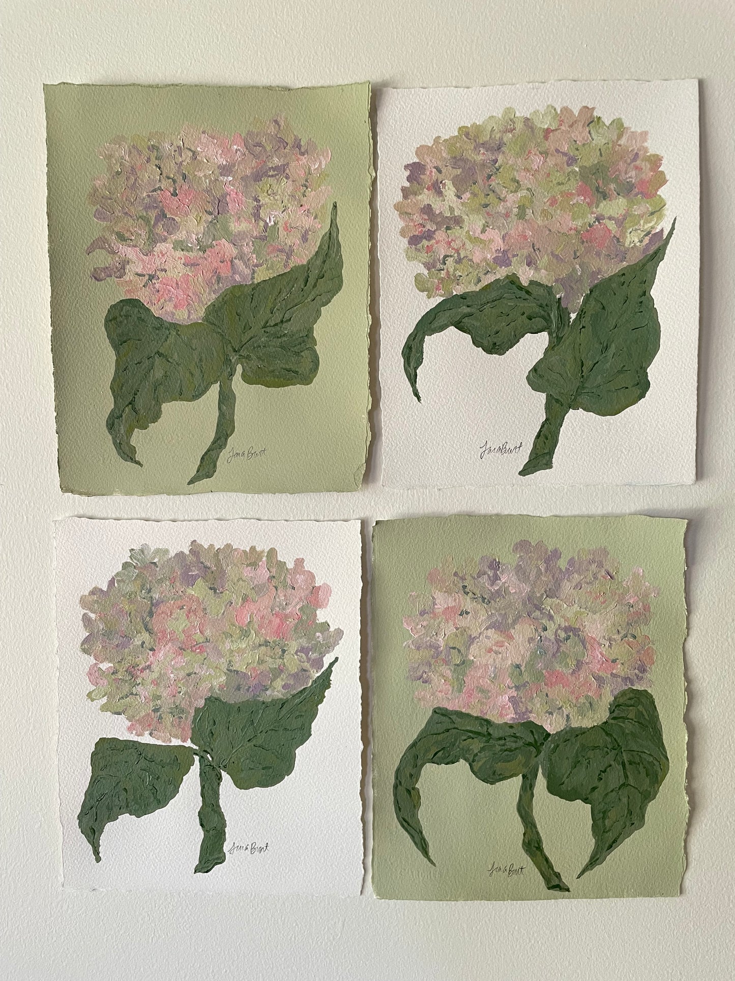 8x10 pink & purple hydrangea on plain paper no. 2