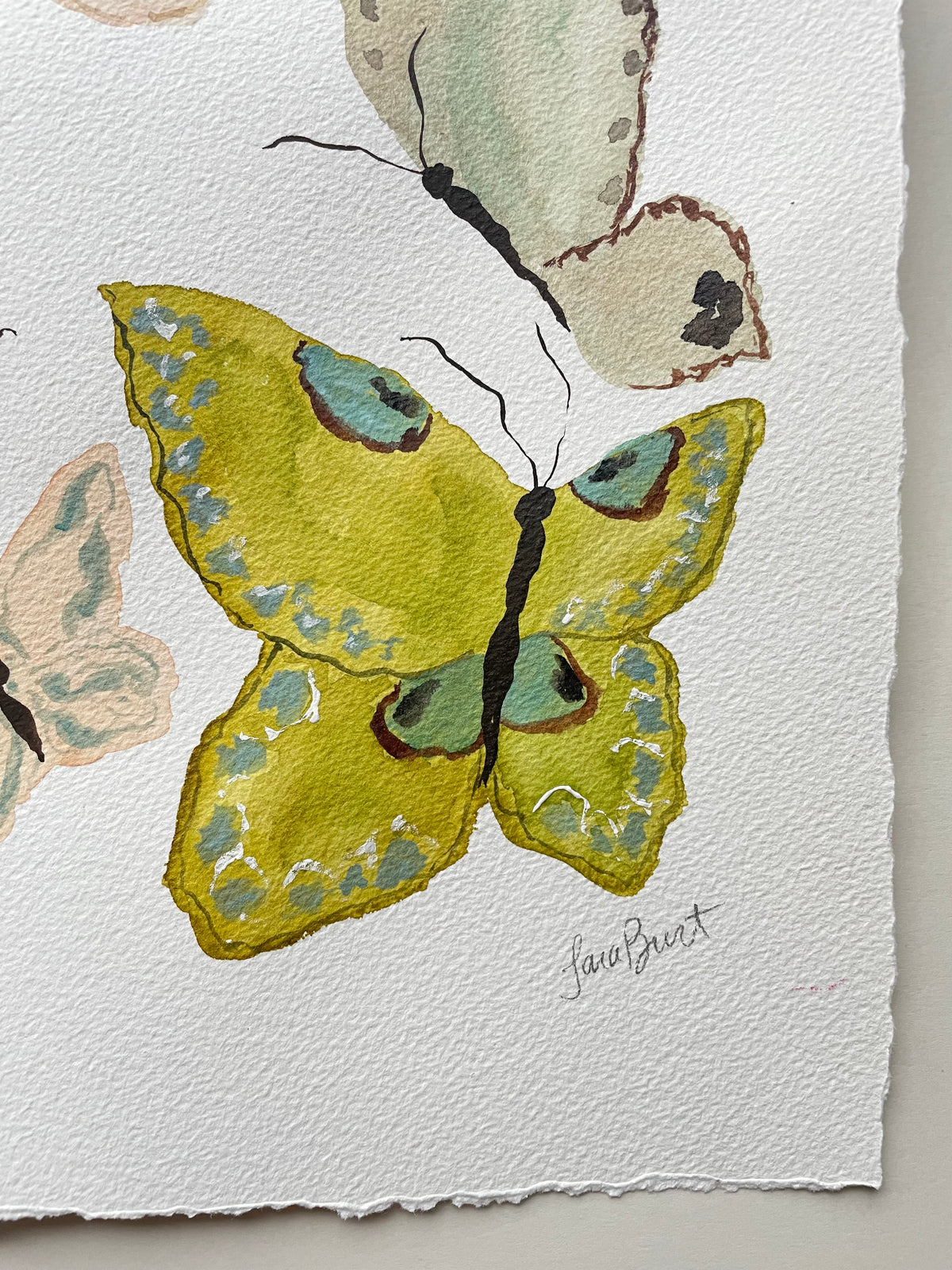 Butterfly Chorus no. 1