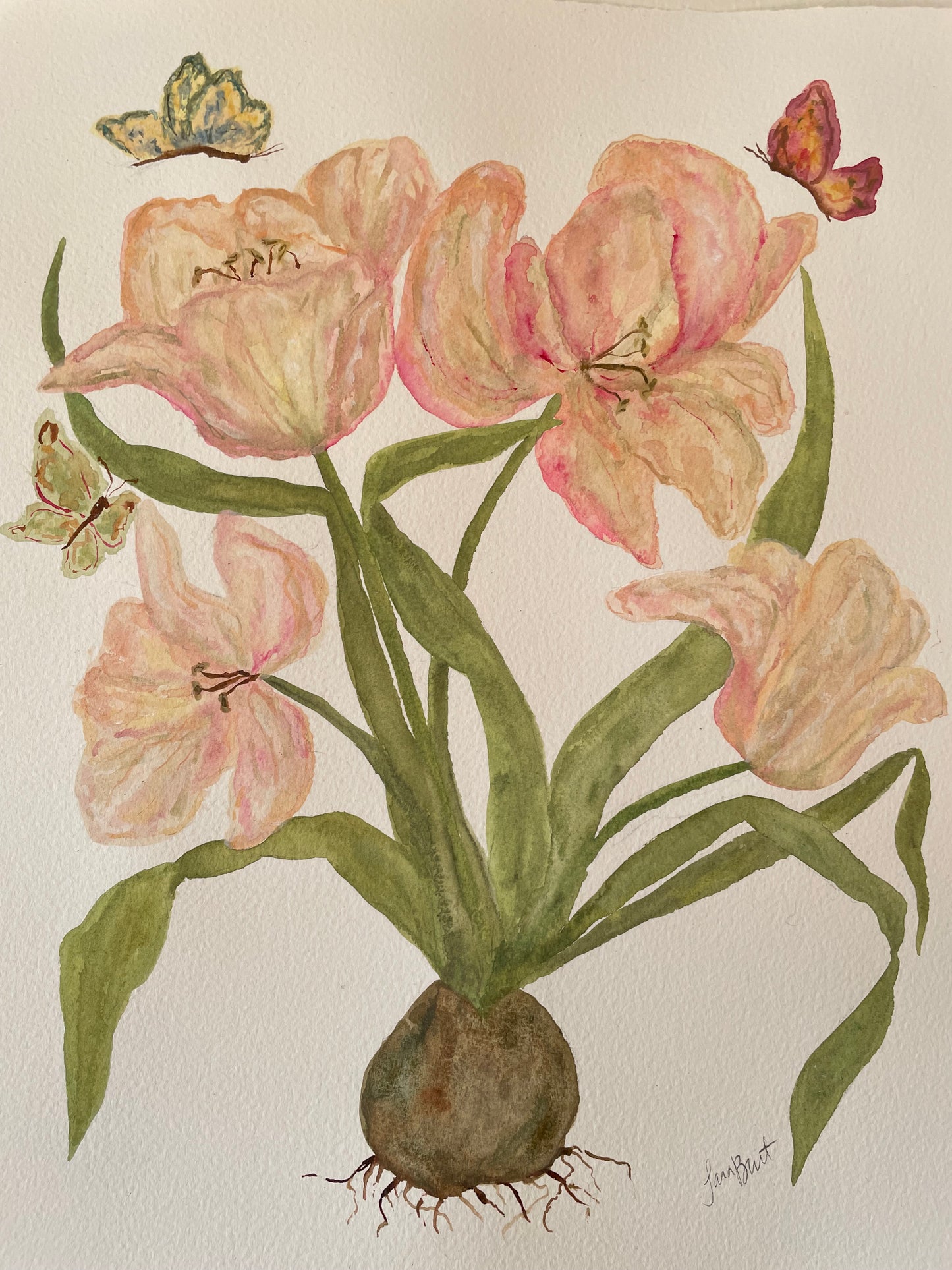 Pink Tulip Botanical Watercolor Painting