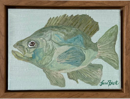 Crappie on canvas