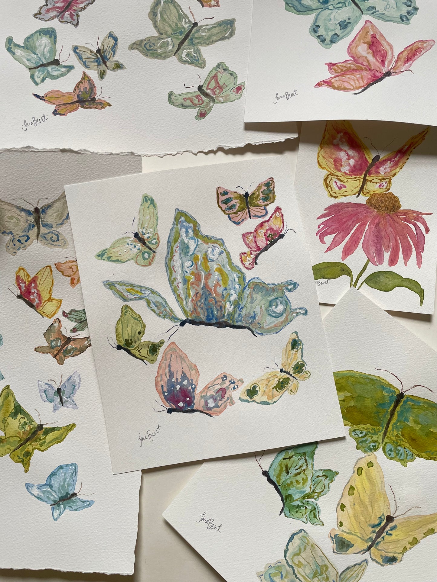 Family of 4 Papillon