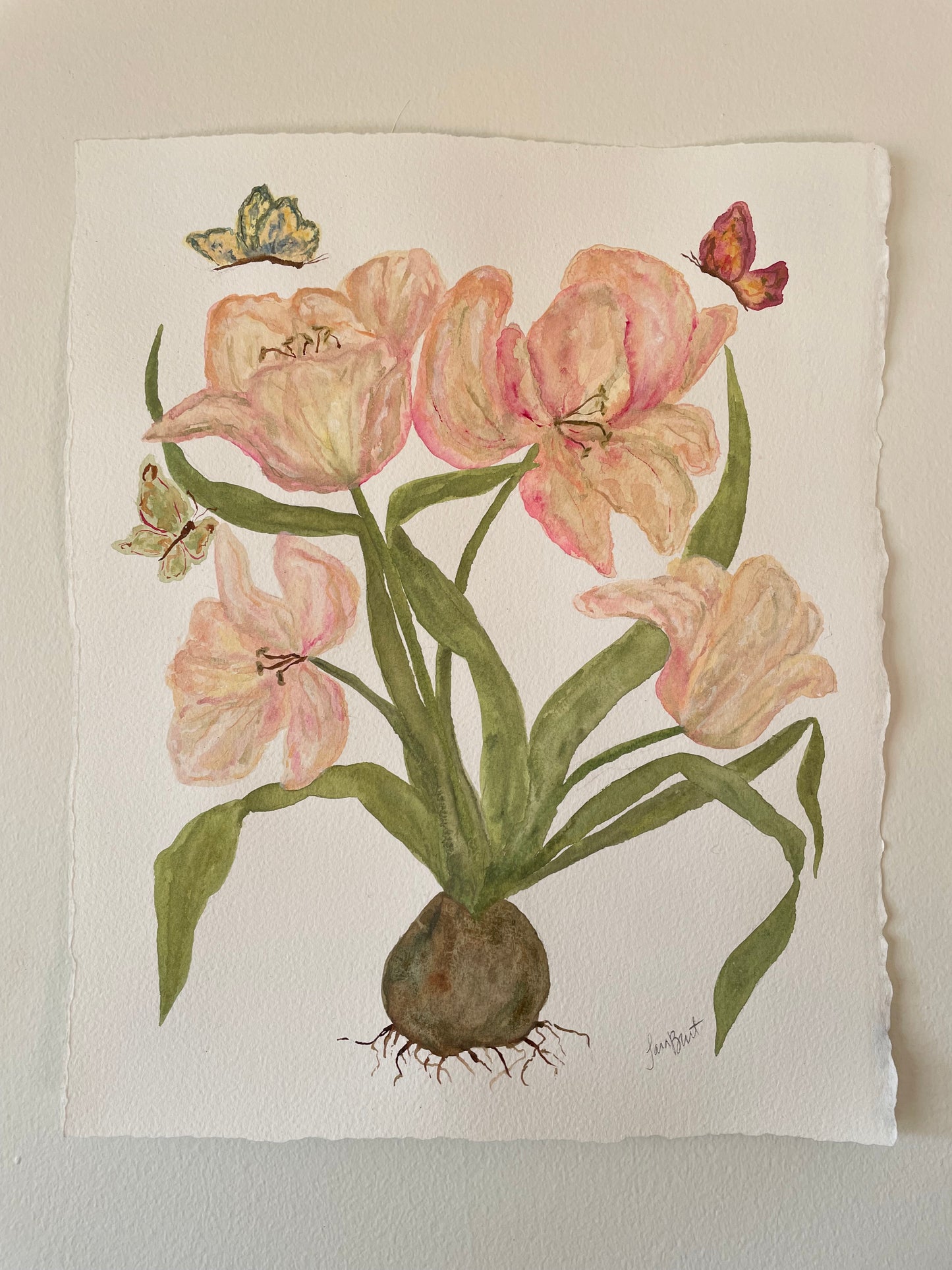 Pink Tulip Botanical Watercolor Painting