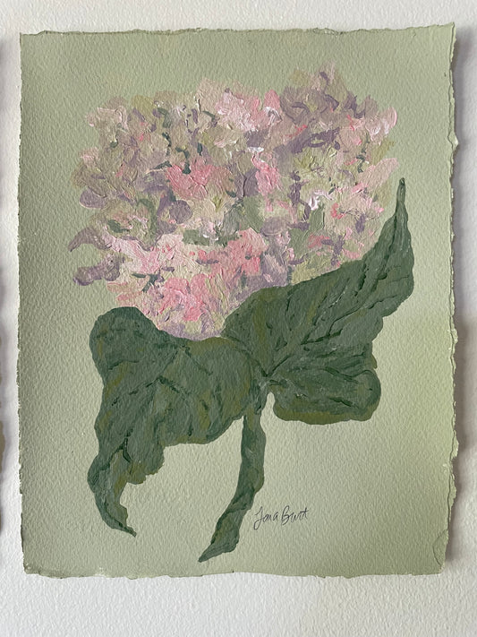 8x10 Pink & Purple Hydrangea on Green paper no. 2