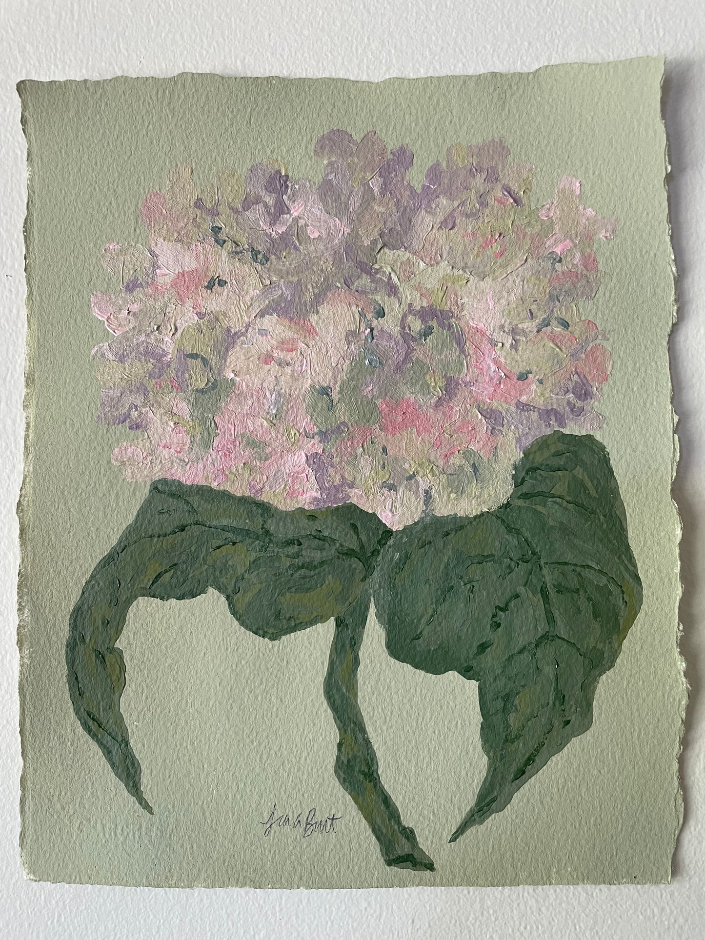 8x10 Pink & Purple Hydrangea on Green Paper no. 1