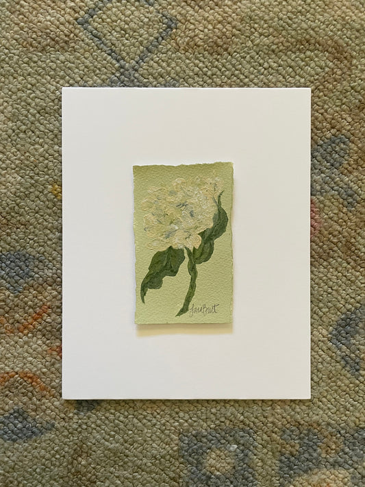 3x5 Hydrangea on Apple Green paper mounted on Mat Board