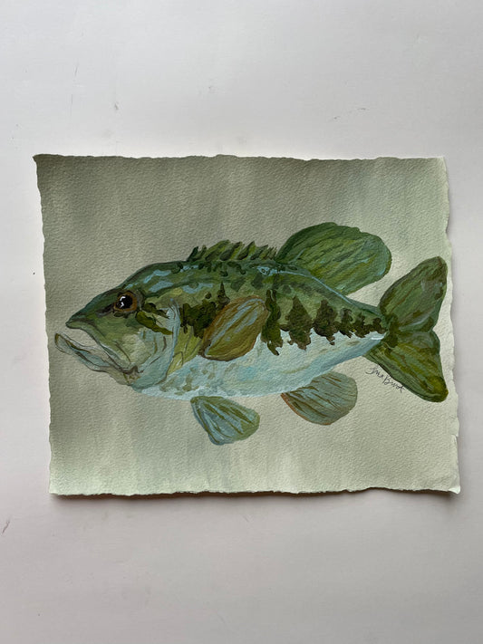 Large Mouth Bass on paper
