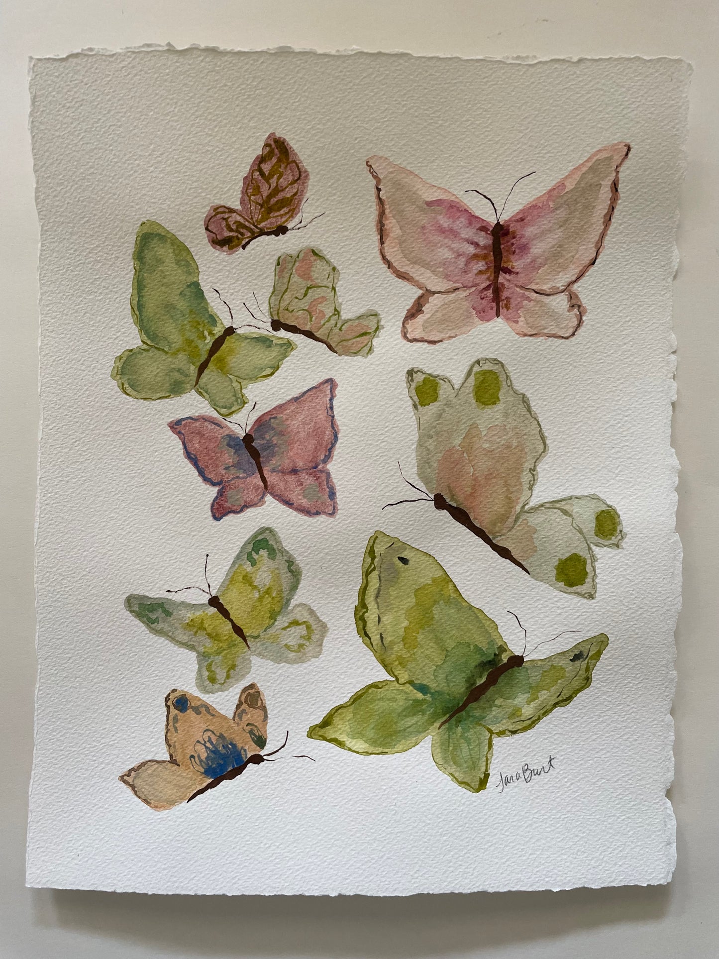 Soft Flutter no. 1