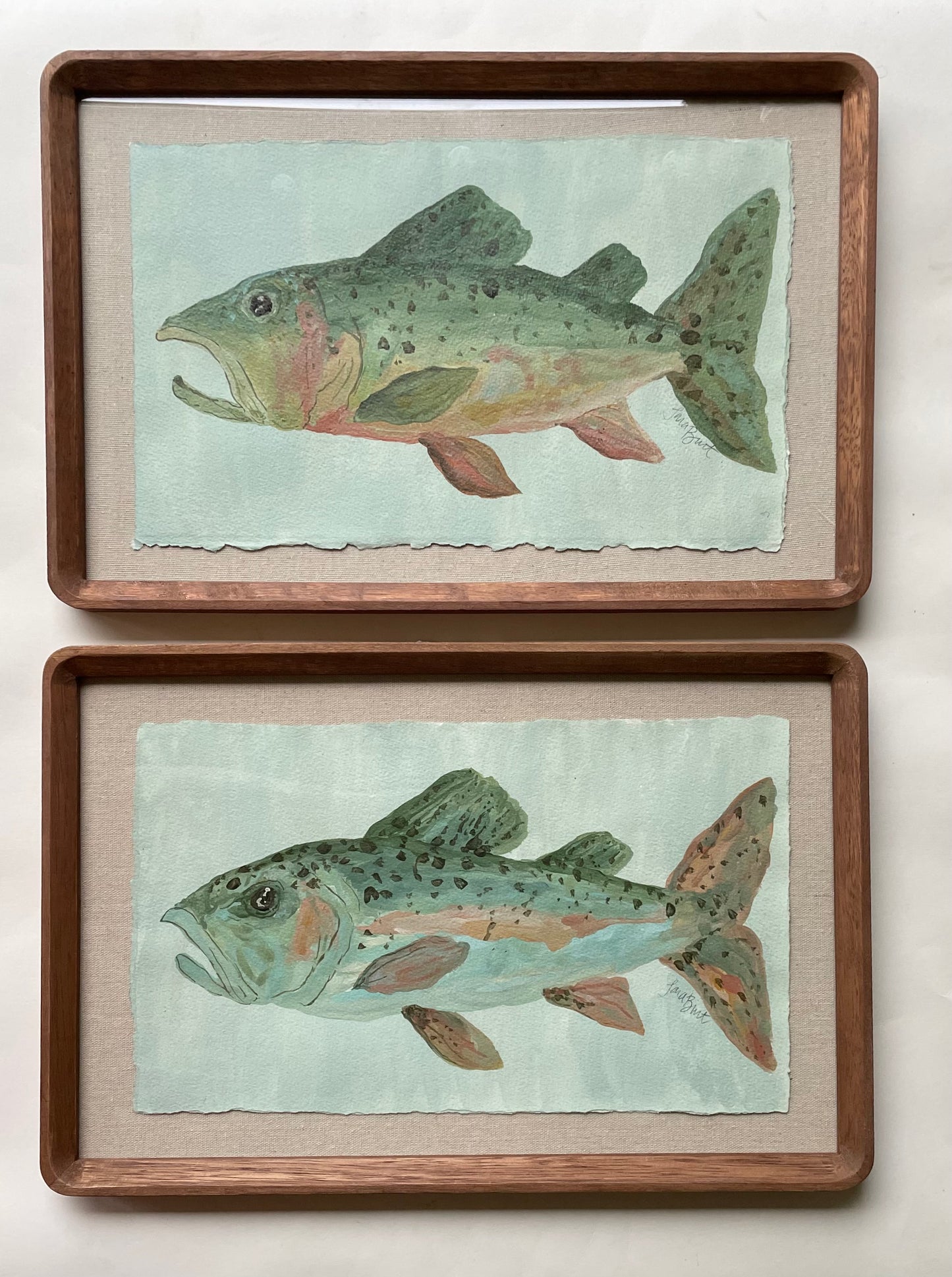 Cutthroat Catch