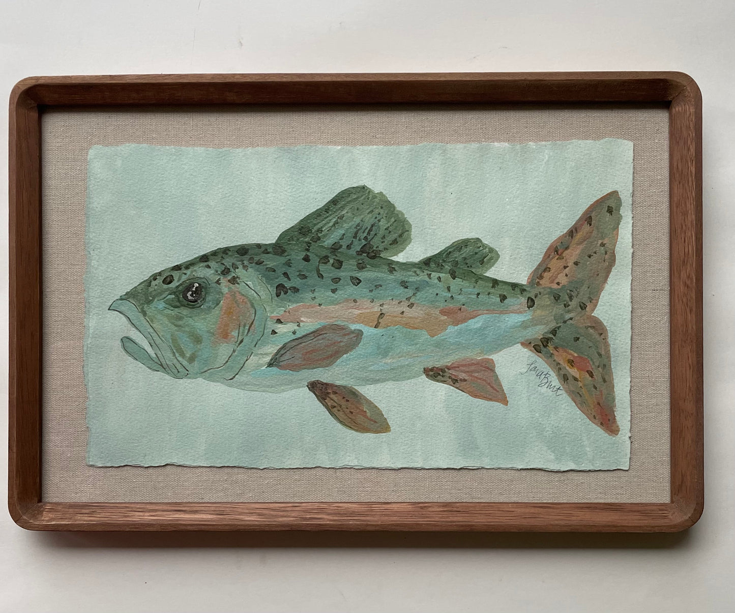 Rainbow Catch
