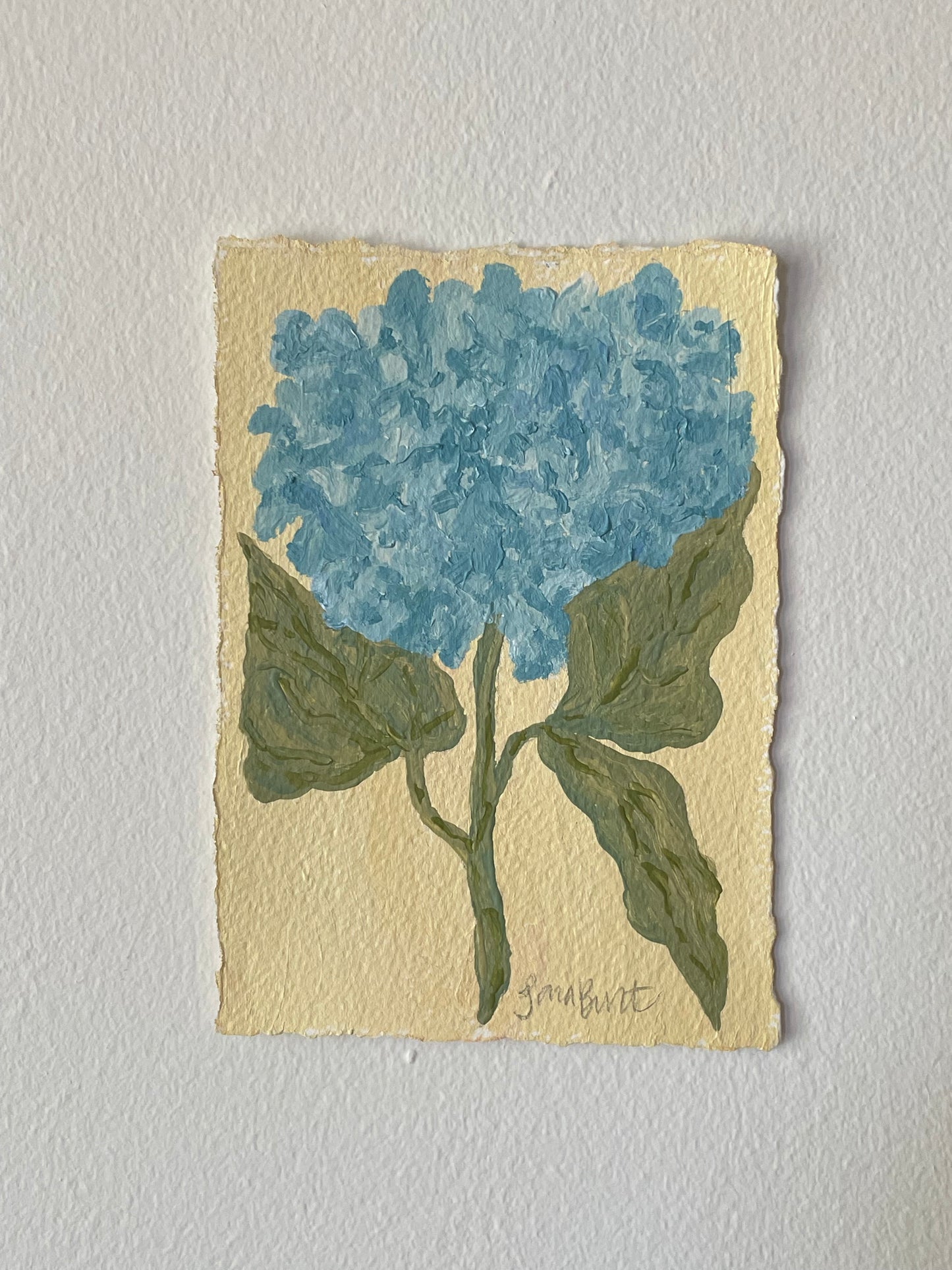 5x7 Blue Hydrangea on Butter Paper no. 1