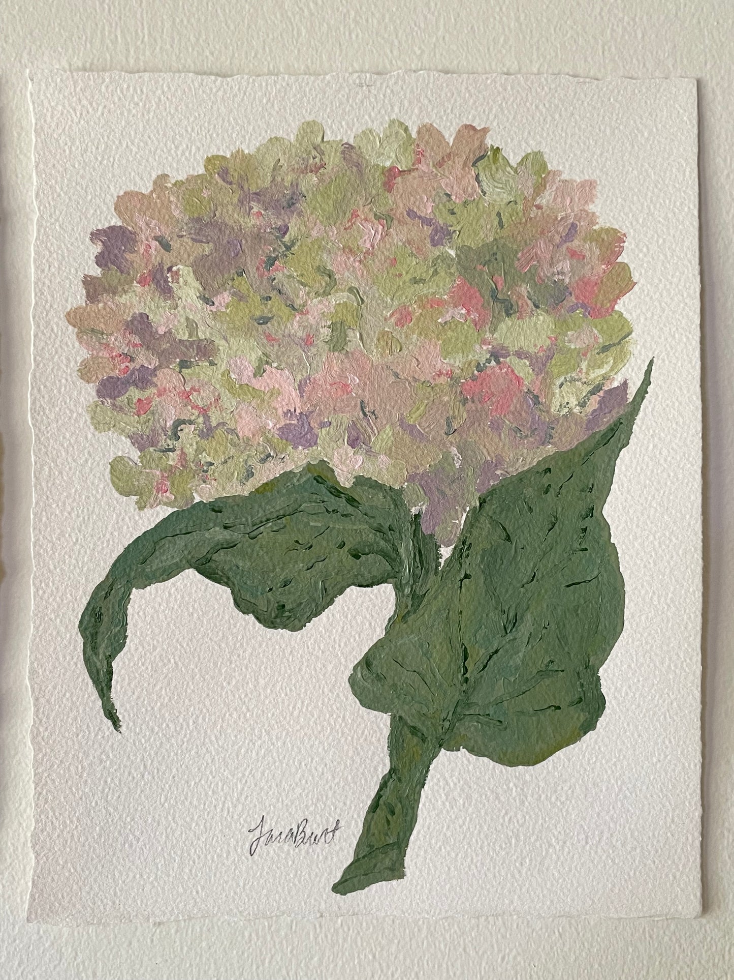 8x10 pink & purple hydrangea on plain paper no. 2