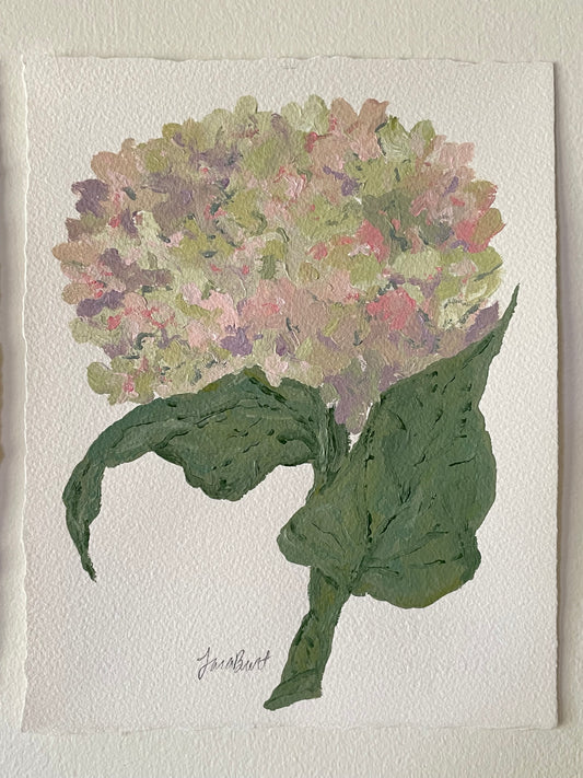 8x10 pink & purple hydrangea on plain paper no. 2