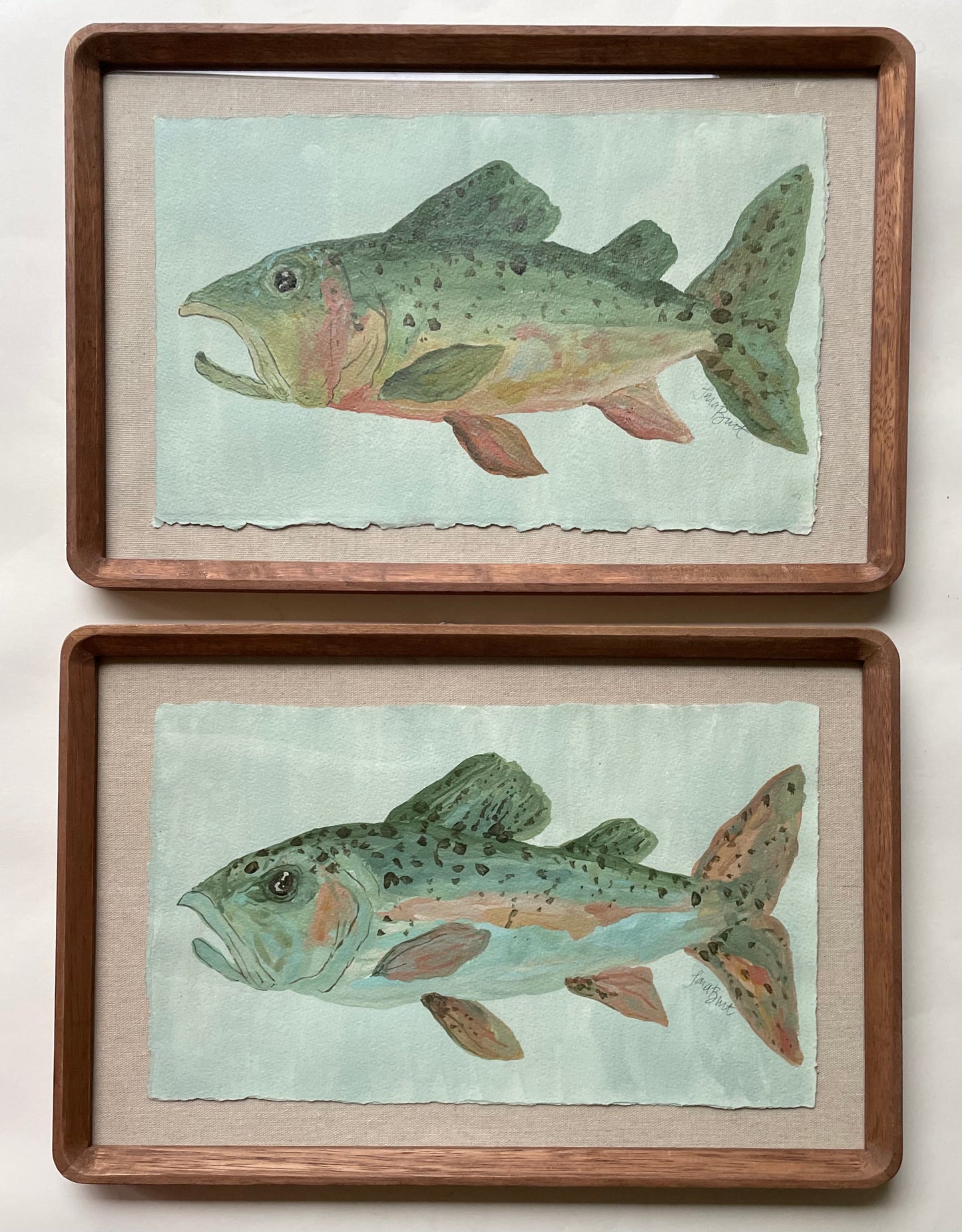 Rainbow Catch