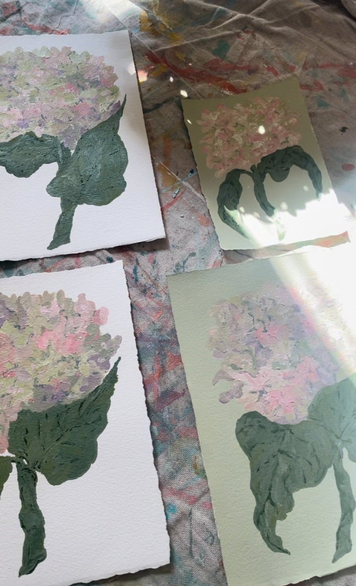 8x10 Pink & Purple Hydrangea on Green paper no. 2