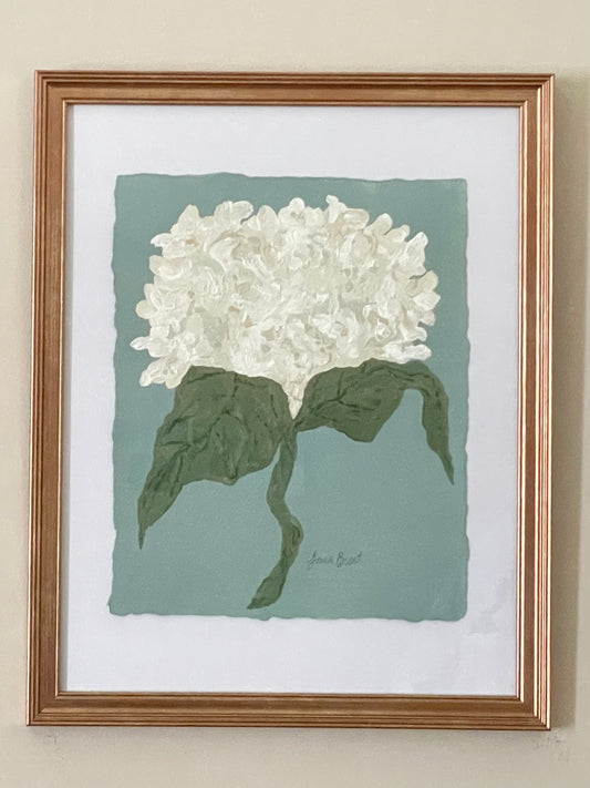 8x10 White Hydrangea on Blue paper no. 2