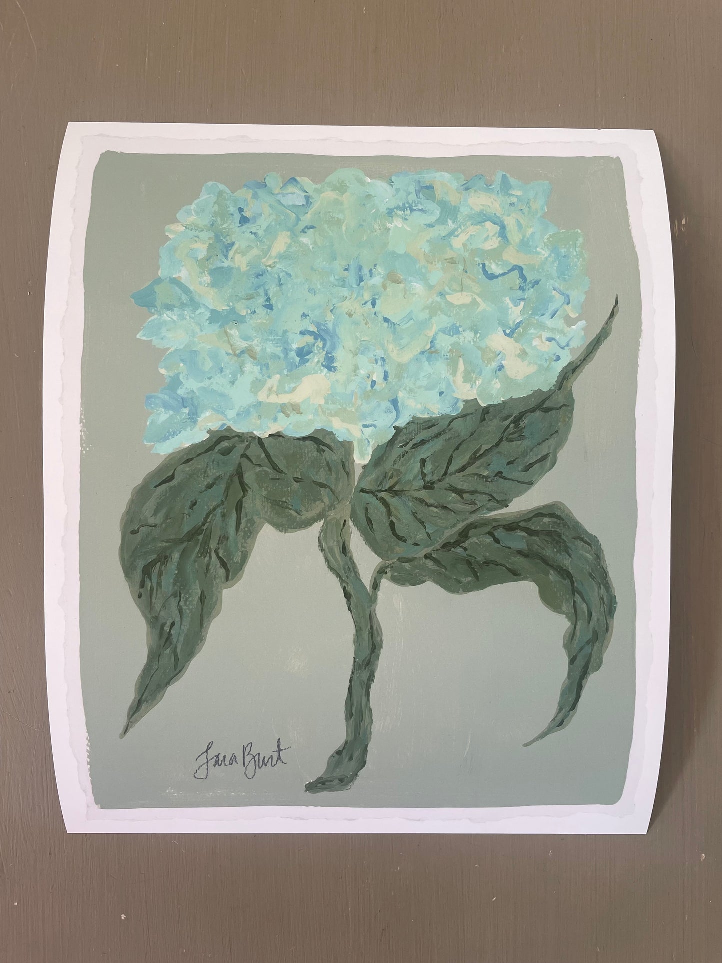 Blue Green Hydrangea on Sage