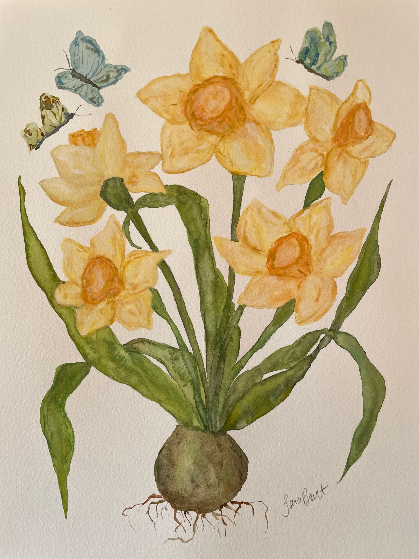 Yellow Daffodil Botanical Watercolor Painting
