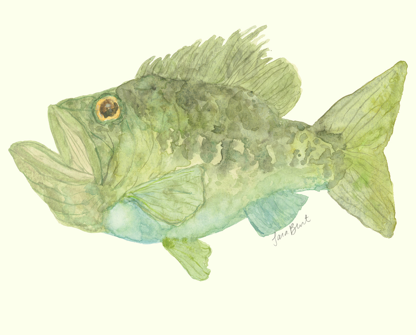 Bass Fish Print