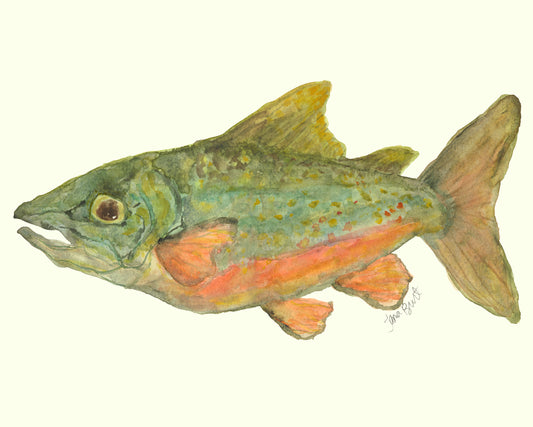 Brook Trout Print