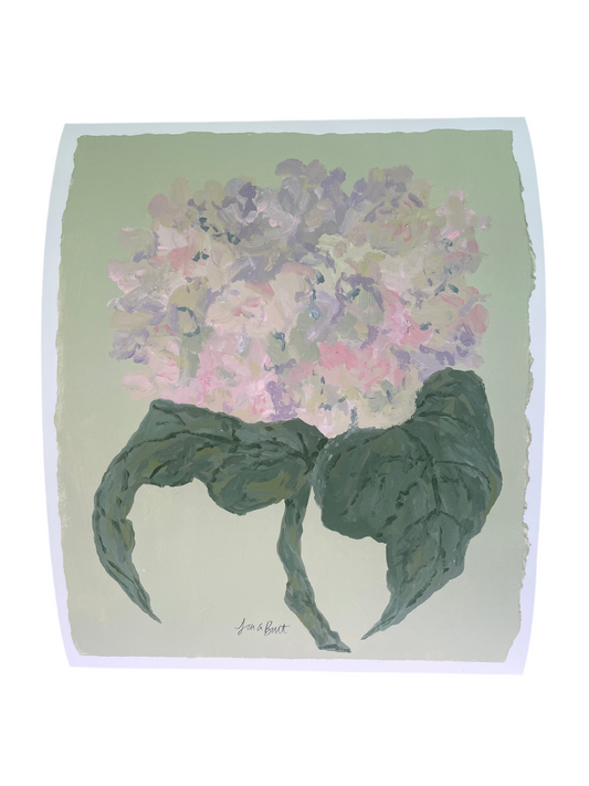 Pink hydrangeas on Green Print