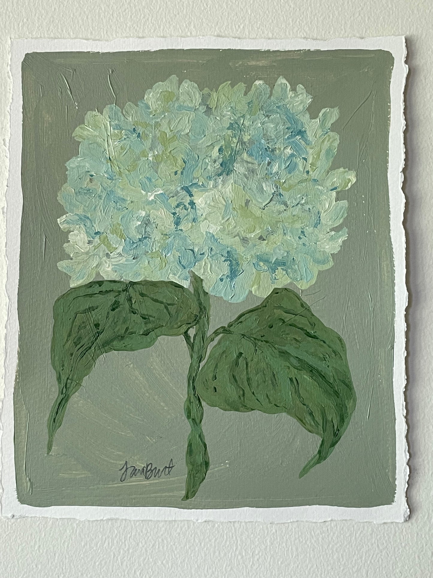 8x10 Green & Blue Hydrangea on Sage paper no. 4