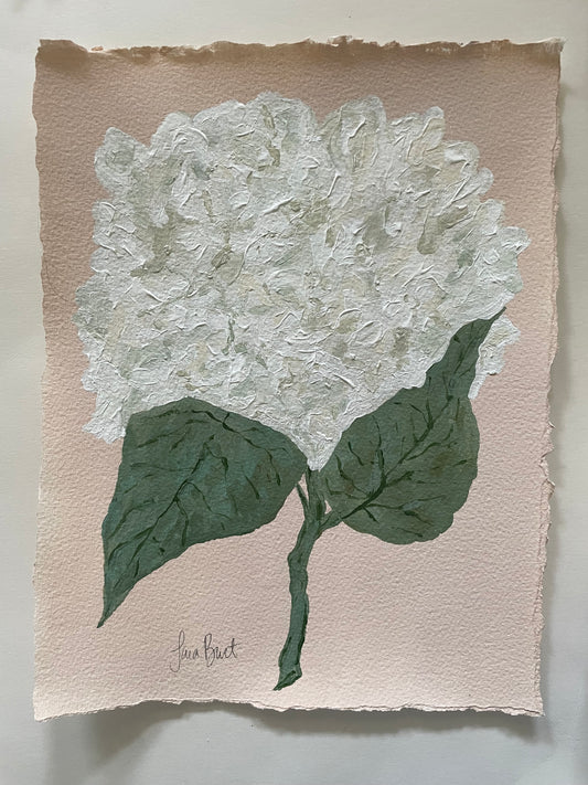 White Hydrangea on Pink no 1