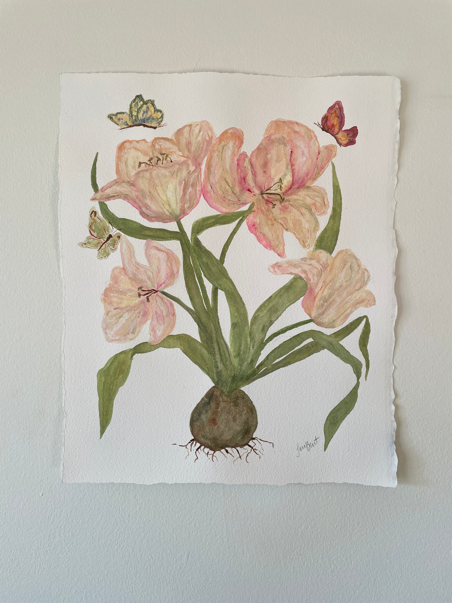 Pink Tulip Botanical Watercolor Painting