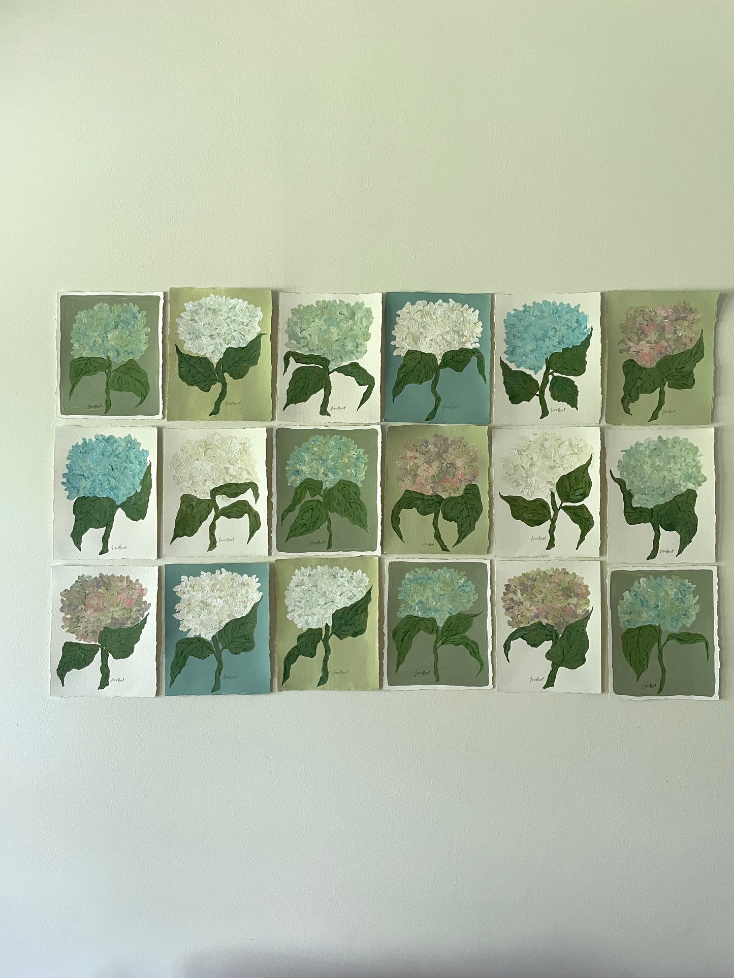 8x10 White Hydrangea on plain paper no. 1