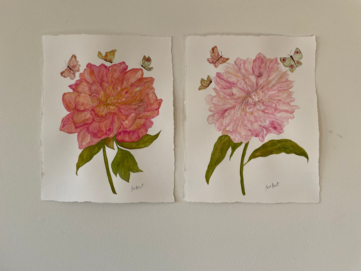 Pink Coral Peony Stem Botanical Watercolor Painting
