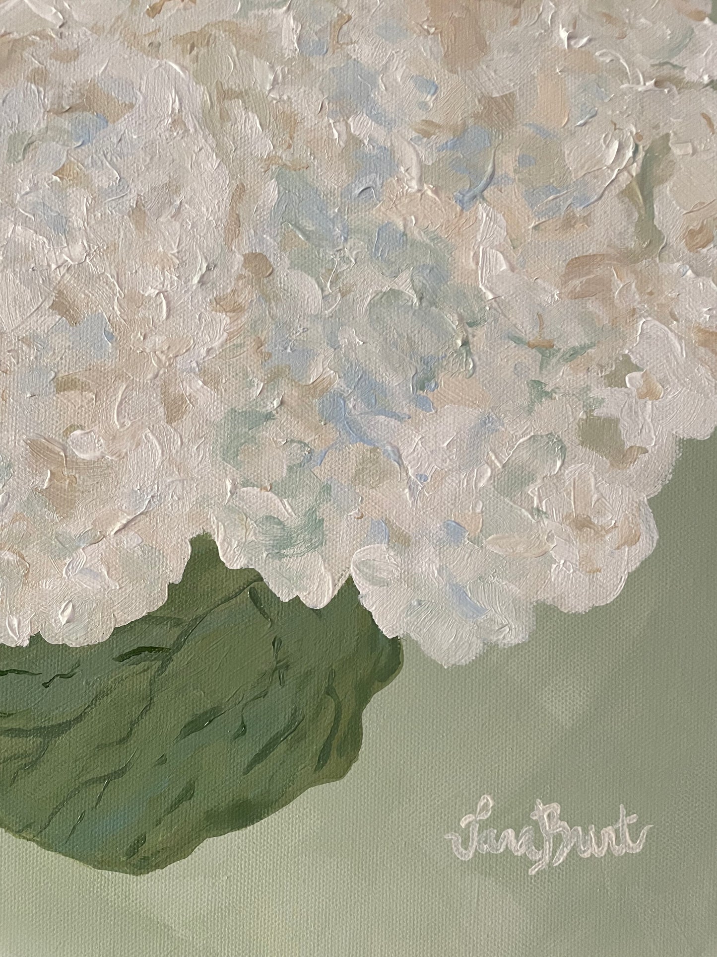 Summer Hydrangeas