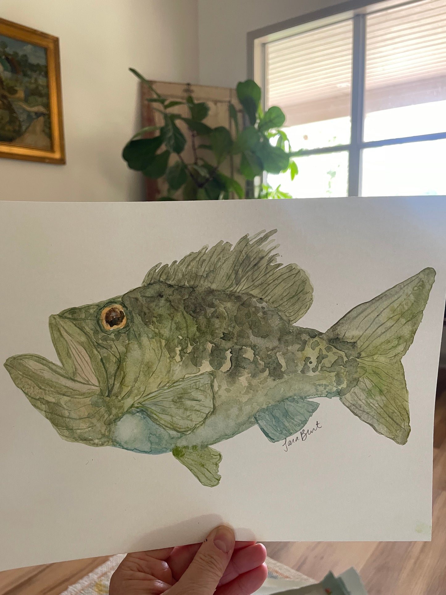 Large Mouth Bass watercolor