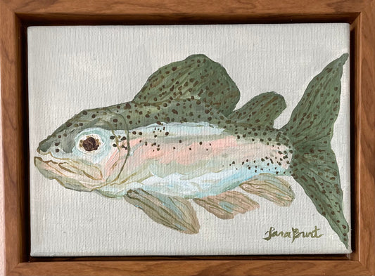 Rainbow Trout on canvas