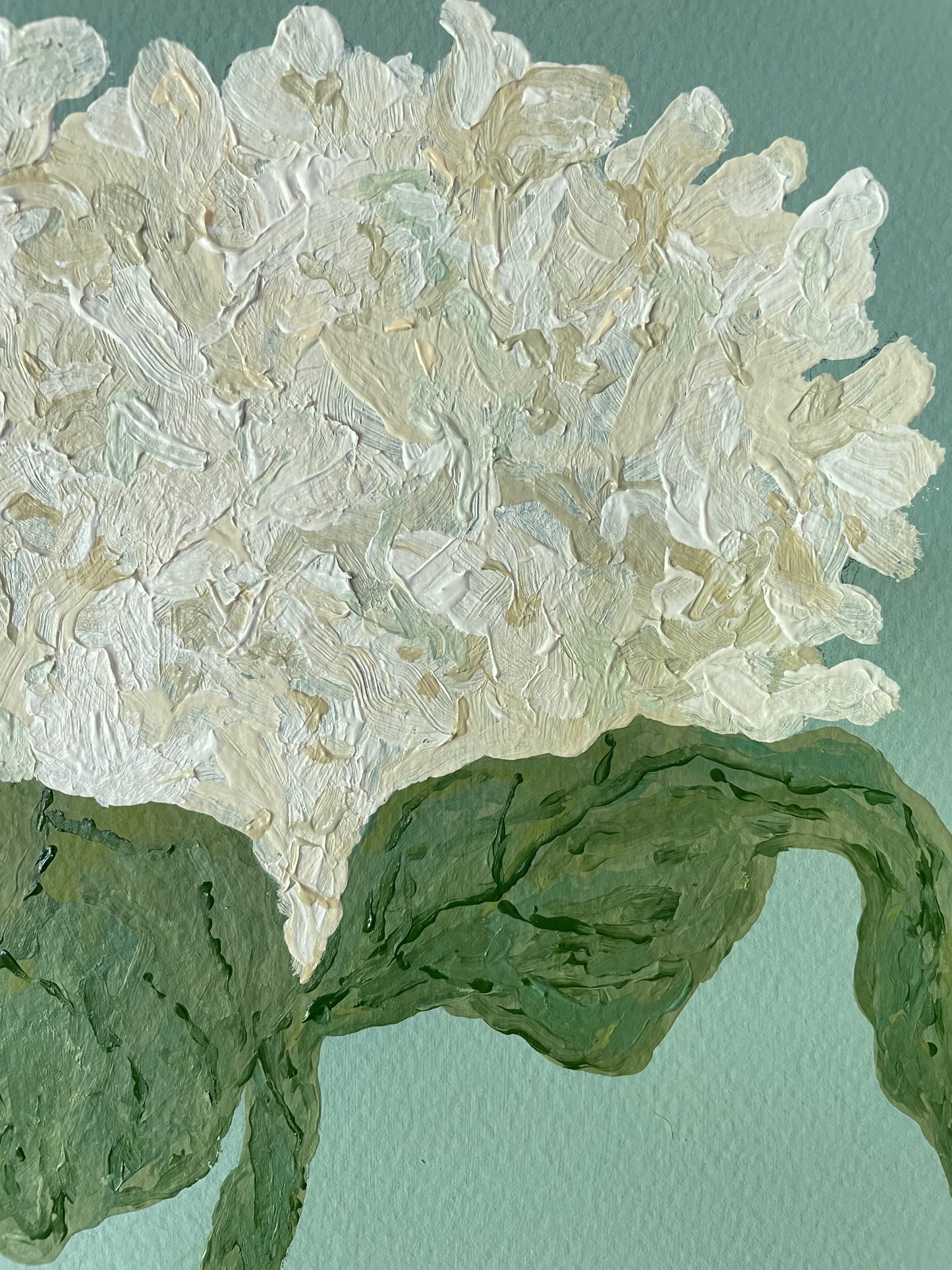 8x10 White Hydrangea on Blue paper no. 2