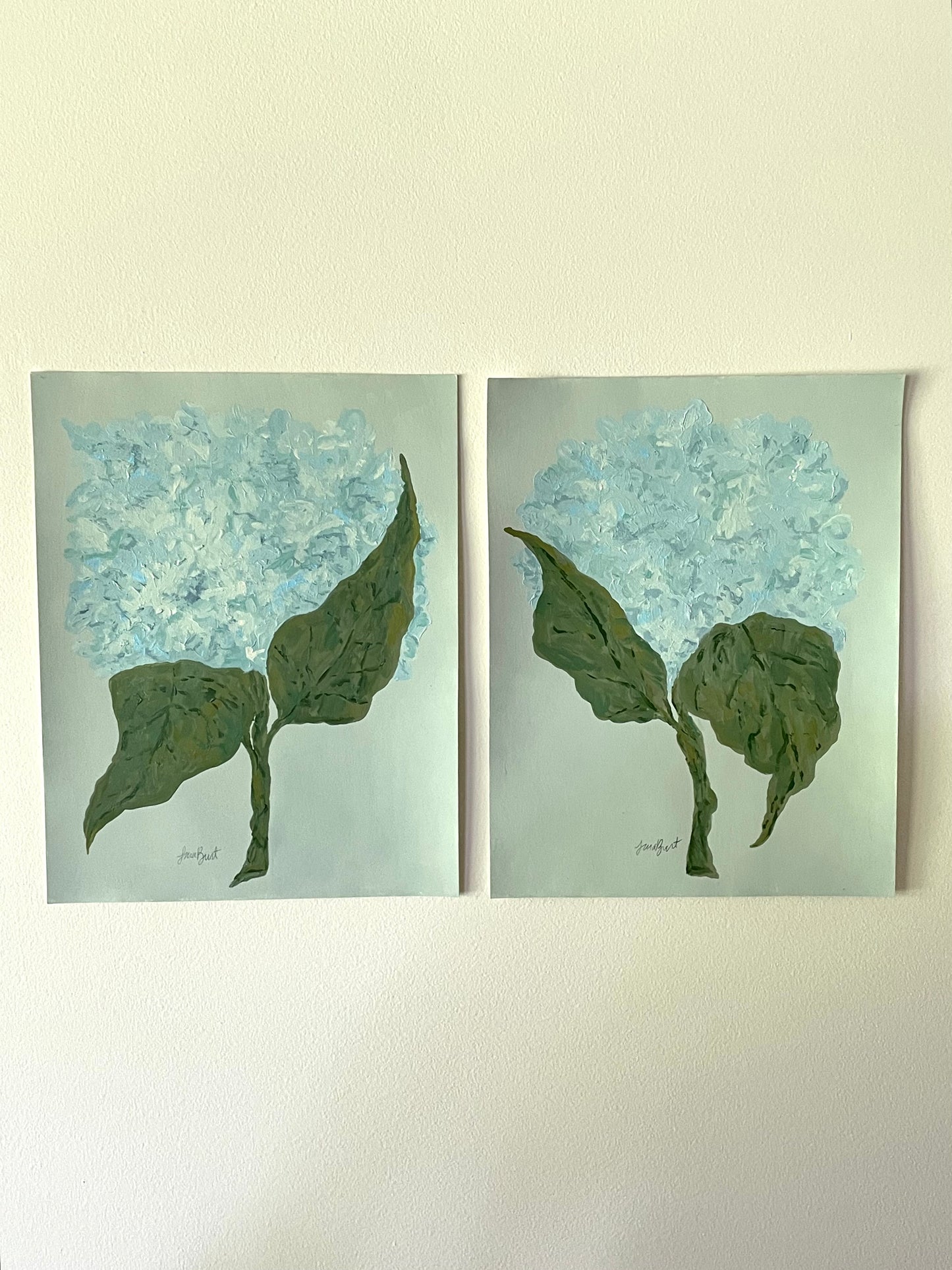 11x14 Blue Hydrangea on blue green paper no. 4